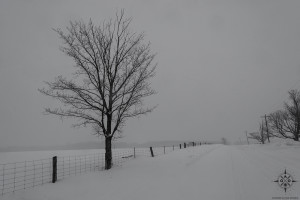 Winter in The Country