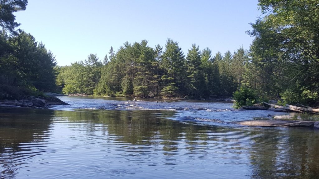 mintor rapid on the Ottawa River